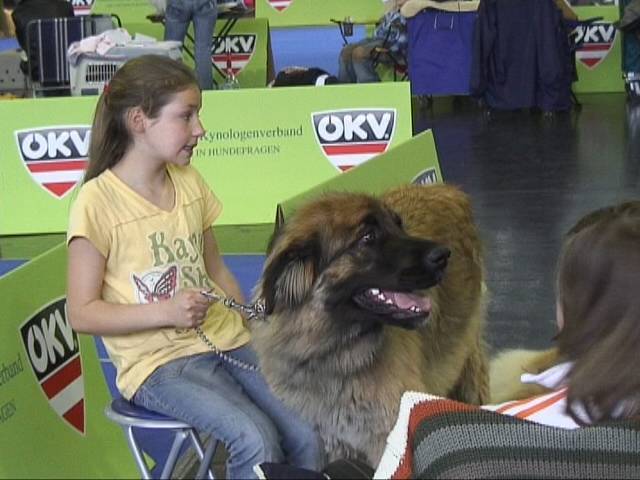 Salzburg Clubschau Mai 06 229 